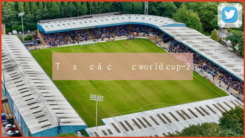 Tỷ số cá cược world cup