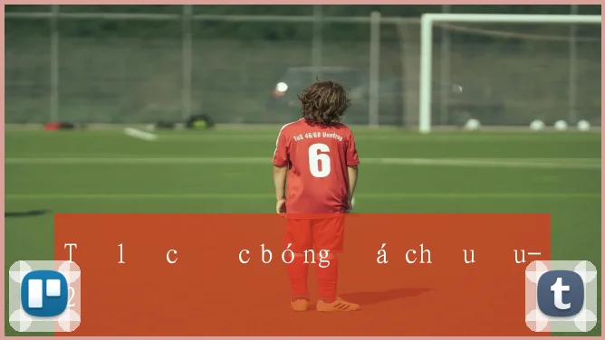 Tỷ lệ cược bóng đá châu âu